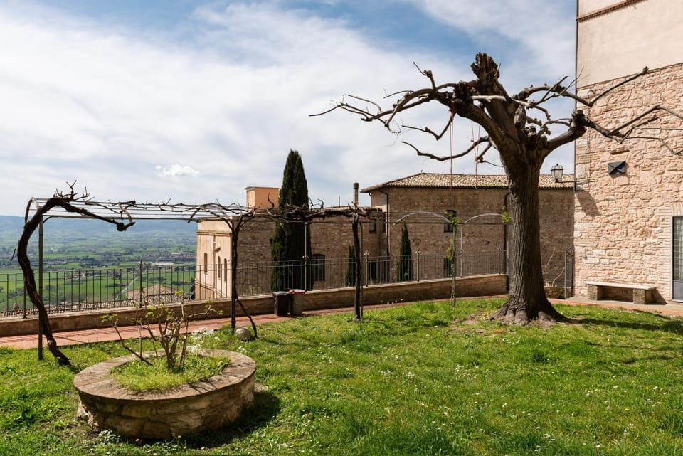 Natural landscape, Garden, Garden view