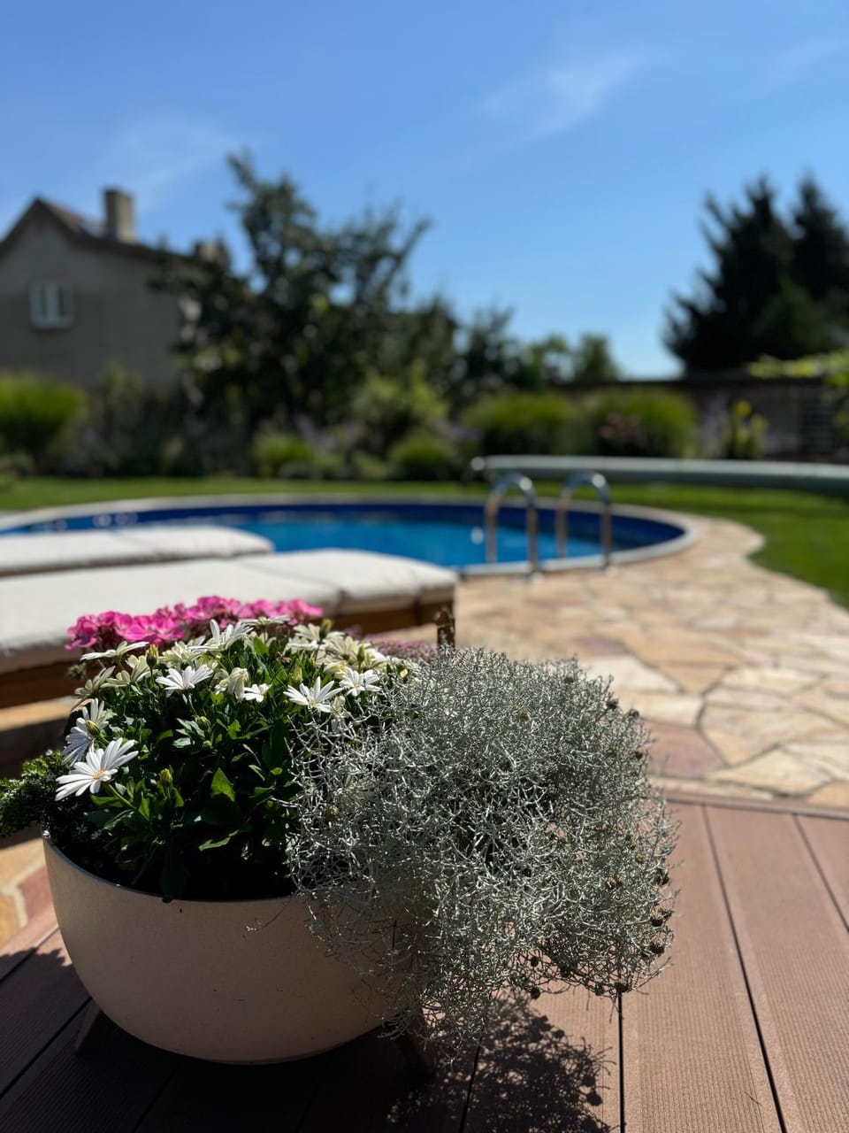 Garden, Swimming pool