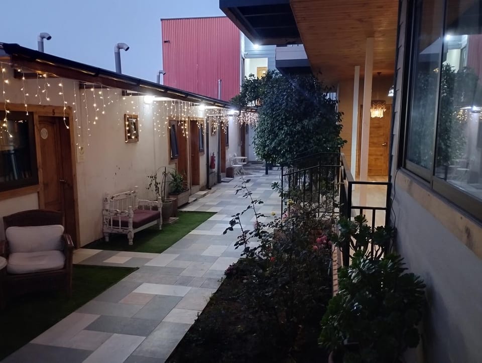 Night, Garden, Garden, Garden view