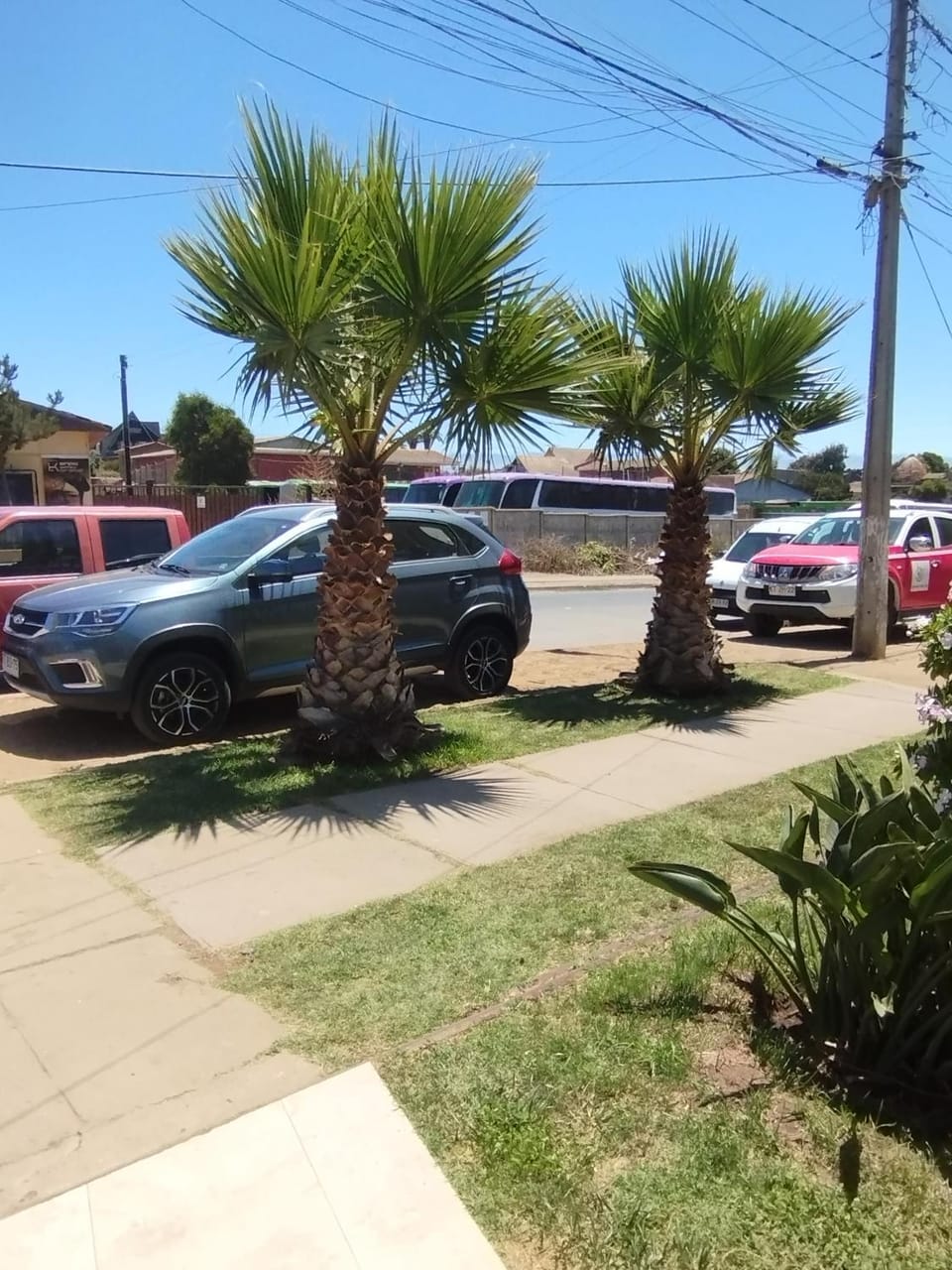 Day, Parking