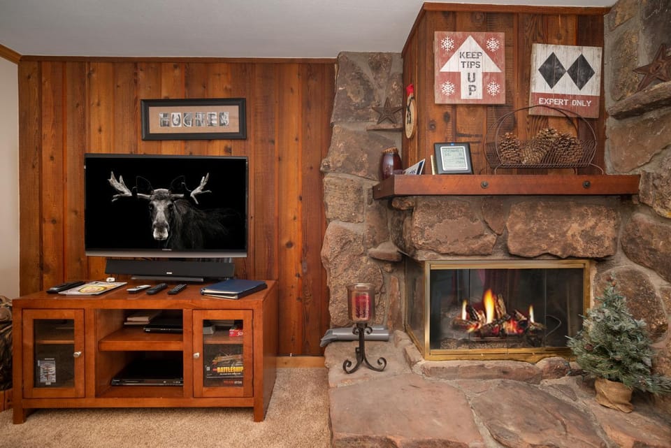 TV and multimedia, fireplace, furniture