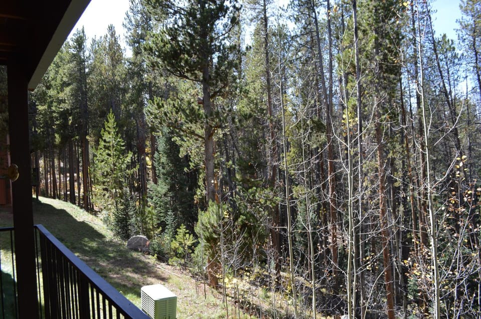 Natural landscape, View (from property/room), Balcony/Terrace