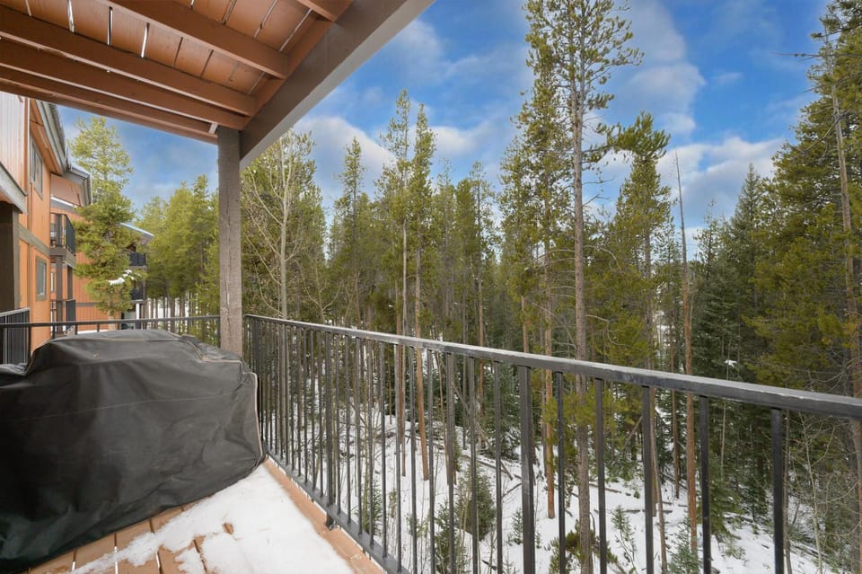 Natural landscape, Winter, View (from property/room), Balcony/Terrace