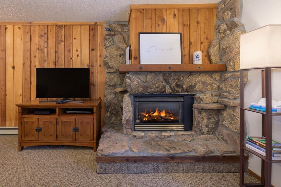 TV and multimedia, fireplace, furniture