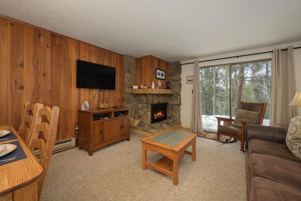 Natural landscape, TV and multimedia, Living room, Seating area, fireplace, furniture