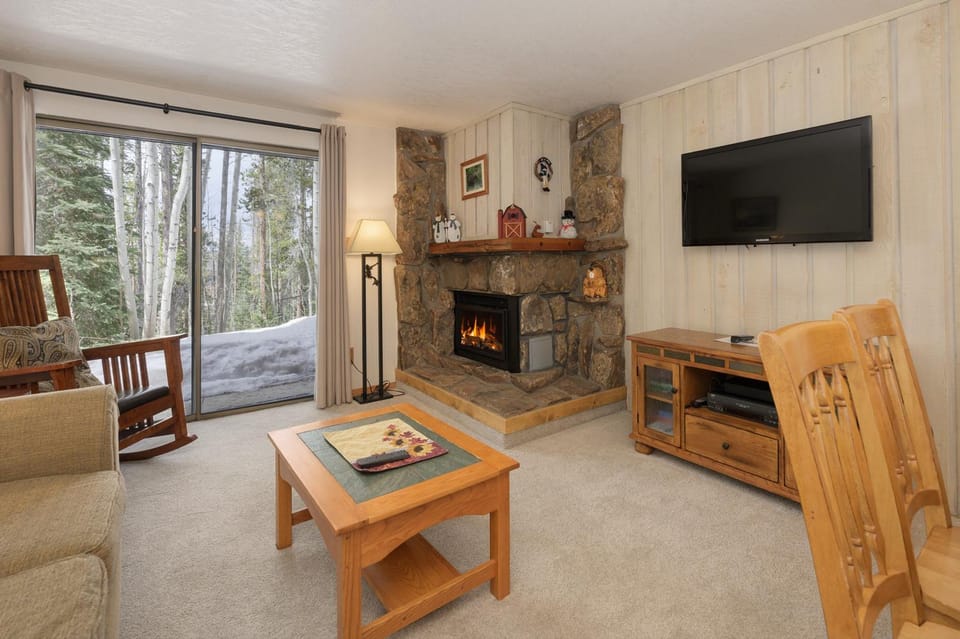 Natural landscape, Winter, TV and multimedia, View (from property/room), Living room, fireplace, furniture