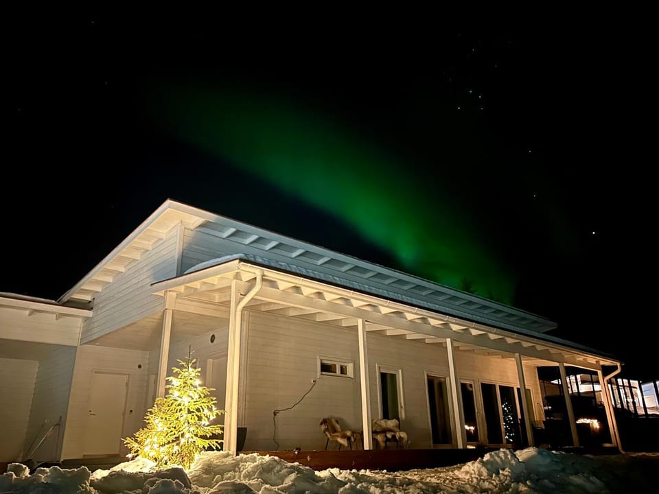 Villa Kataja with winter forest landscape and wi-fi Villa in Rovaniemi