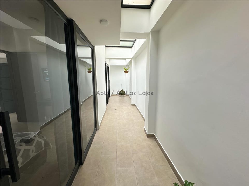 Patio, Patio, Inner courtyard view