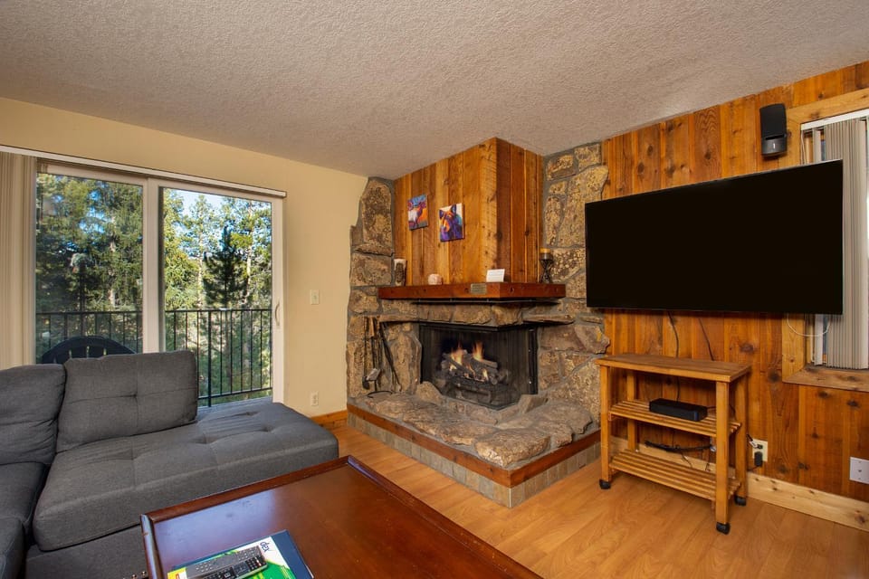 Natural landscape, TV and multimedia, View (from property/room), Living room, fireplace, furniture