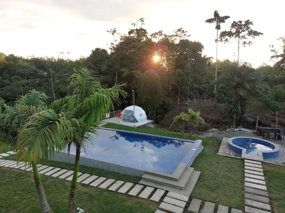 Swimming pool, Swimming pool