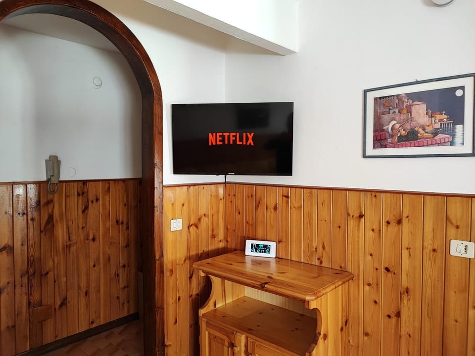TV and multimedia