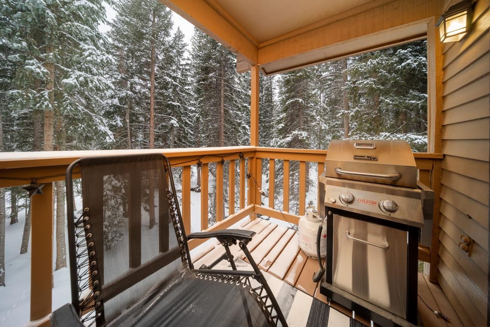 Day, Natural landscape, Winter, BBQ facilities, Balcony/Terrace