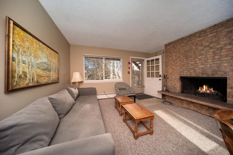 Day, Living room, Seating area, fireplace, furniture