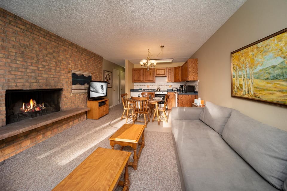 TV and multimedia, Kitchen or kitchenette, Living room, Dining area, fireplace, furniture, microwave, oven, stove, kitchen
