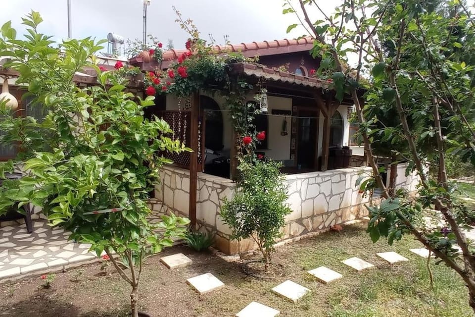Property building, Spring, Day, Garden view