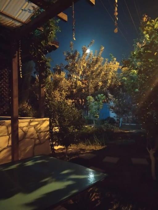 Night, Garden, Garden view