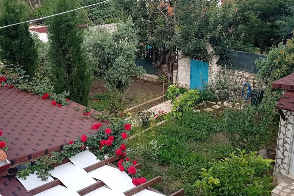 Day, Garden, Garden view