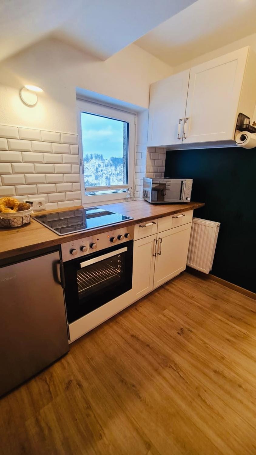 Kitchen or kitchenette, dishwasher, minibar, pet friendly, stove