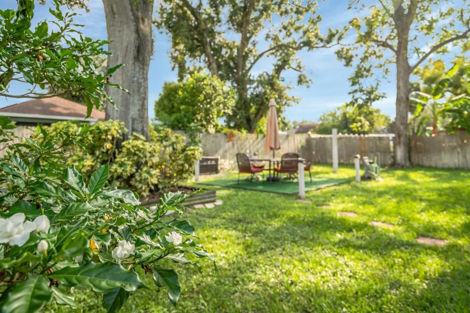 Spring, Day, Natural landscape, Garden view
