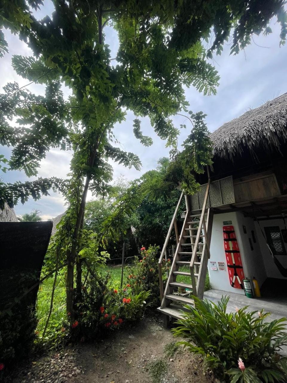 Ipqua Hostel Bed and Breakfast in Magdalena, Colombia