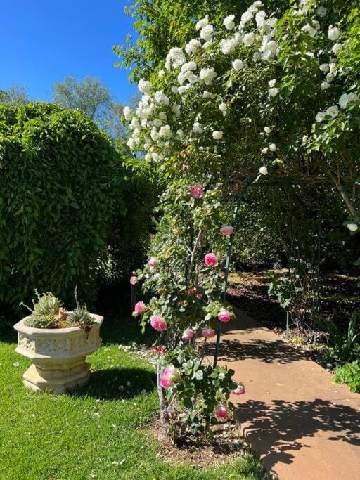 Wonga - A secluded oasis in the heart of Parkes House in Parkes