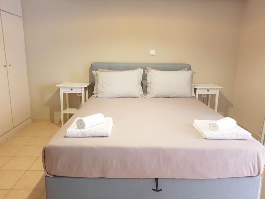 Athens Campus Renovated Studio Apartment @ Ilisia Apartment in Athens