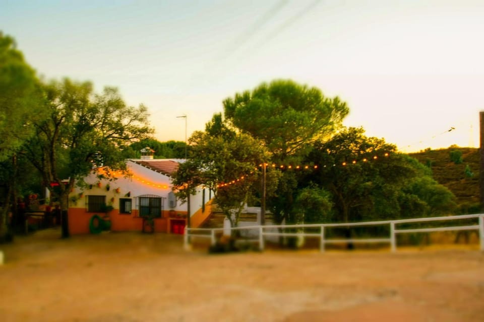 Property building, Sunset