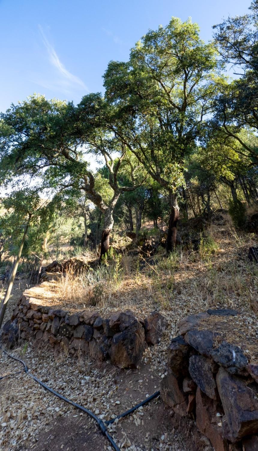Natural landscape