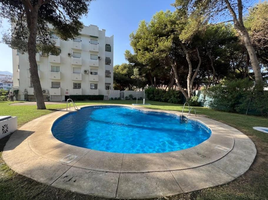 Garden, Swimming pool