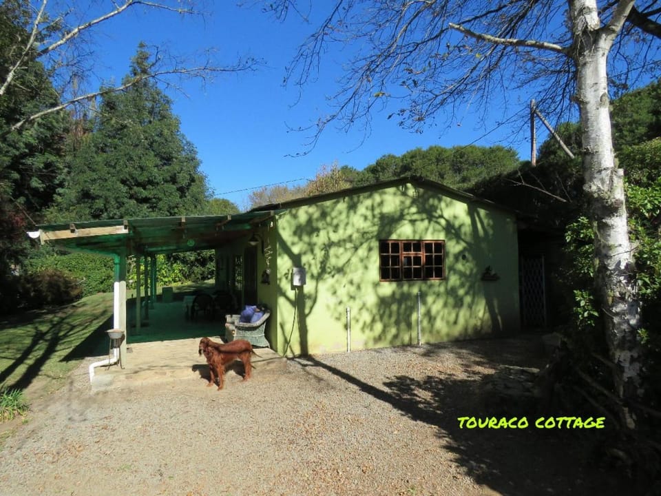 Touraco House in Eastern Cape