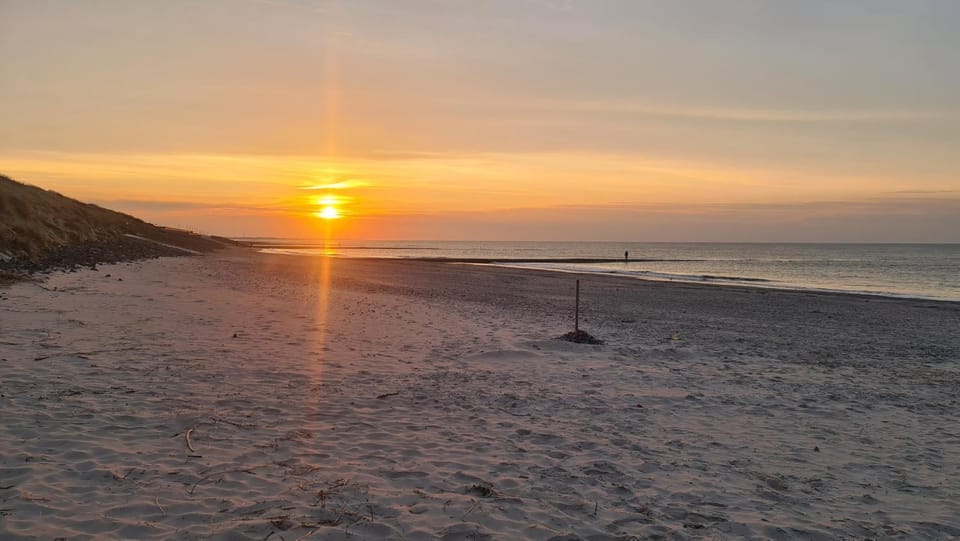 Natural landscape, Beach, Sunset