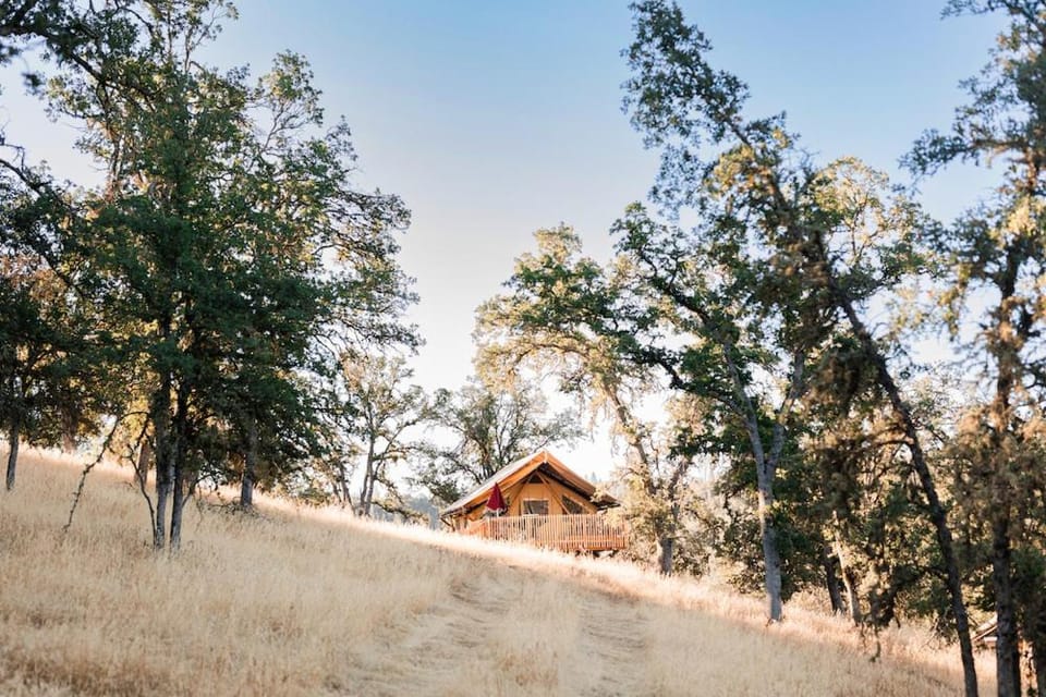 Huttopia Wine Country - Northern California Campground/ 
RV Resort in San Francisco Bay Area