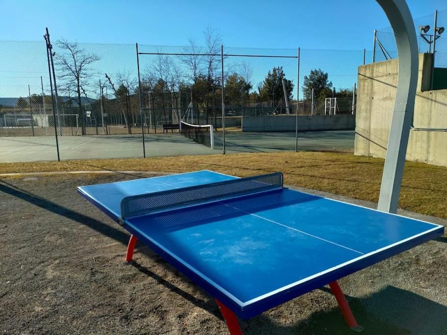 Table tennis, Area and facilities