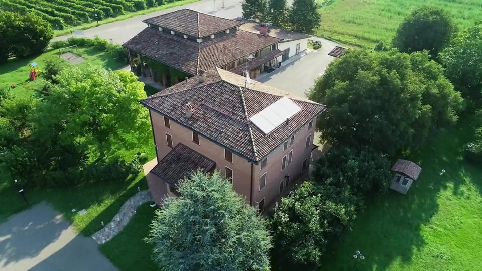 Natural landscape, Bird's eye view, Garden