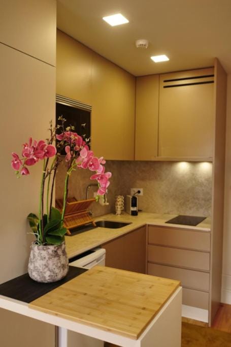 Kitchen or kitchenette