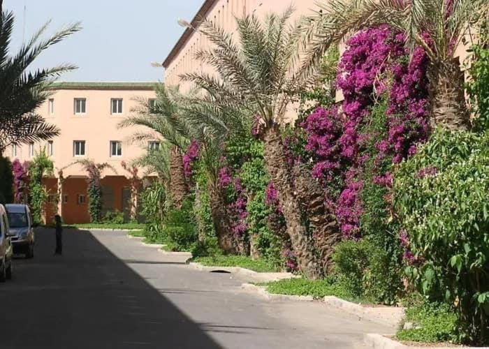 Appartement dans résidence avec piscine Apartment in Marrakesh