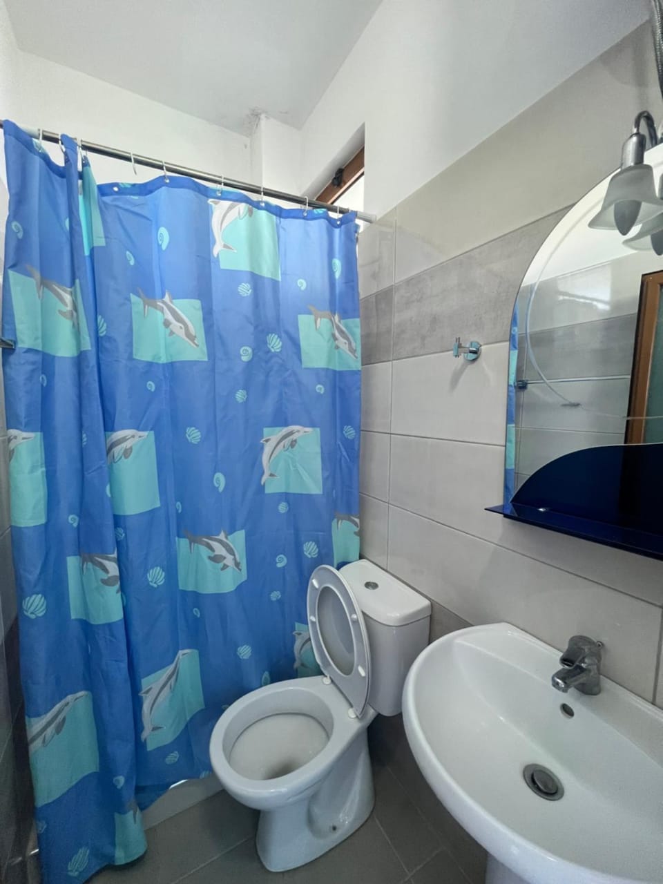 Shower, Toilet, Bathroom, bidet