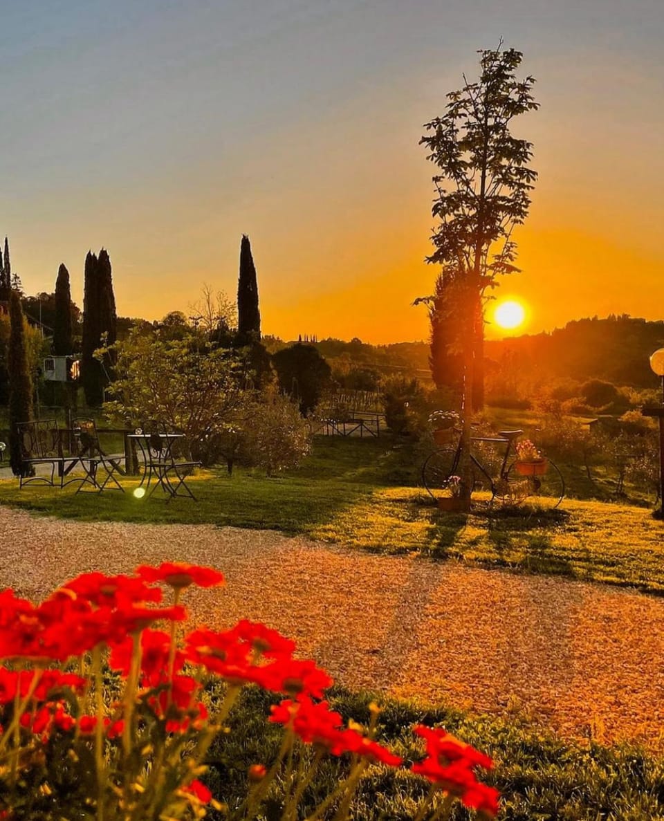 Day, Garden, Garden view