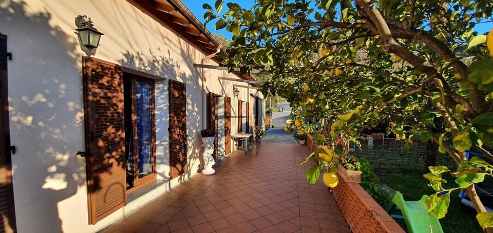 Property building, Balcony/Terrace