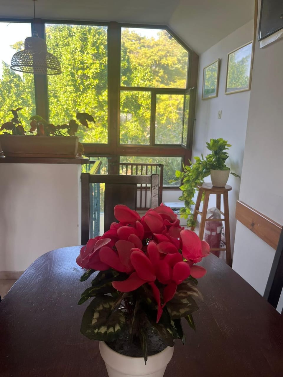אירוח גאלה בגולן House in North District