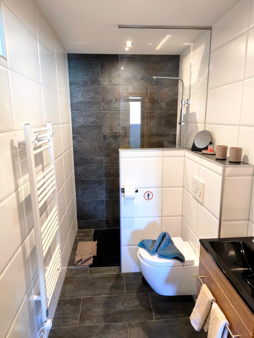 Shower, Toilet, Bathroom, towels