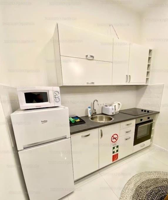 Coffee/tea facilities, Kitchen or kitchenette, dishwasher, minibar, pet friendly, toaster