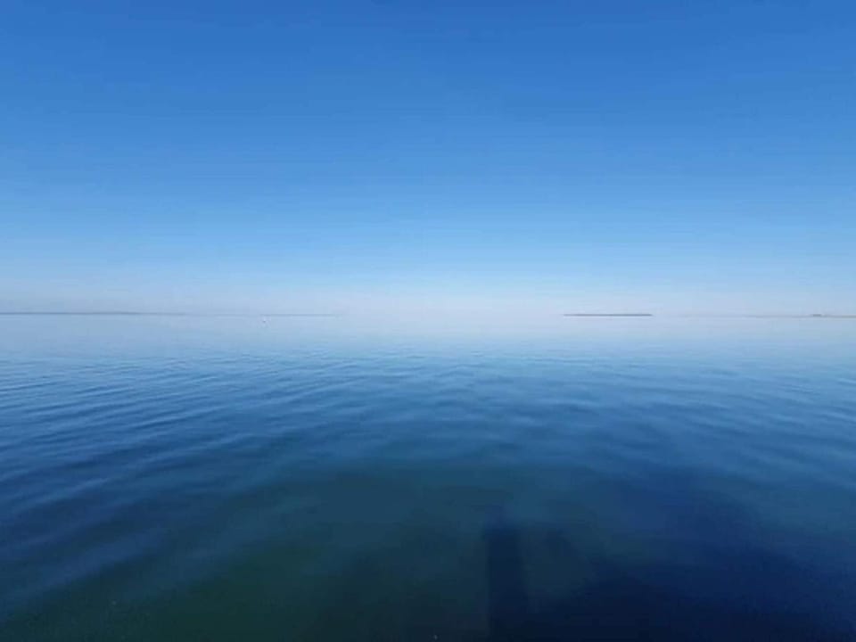 Lake view