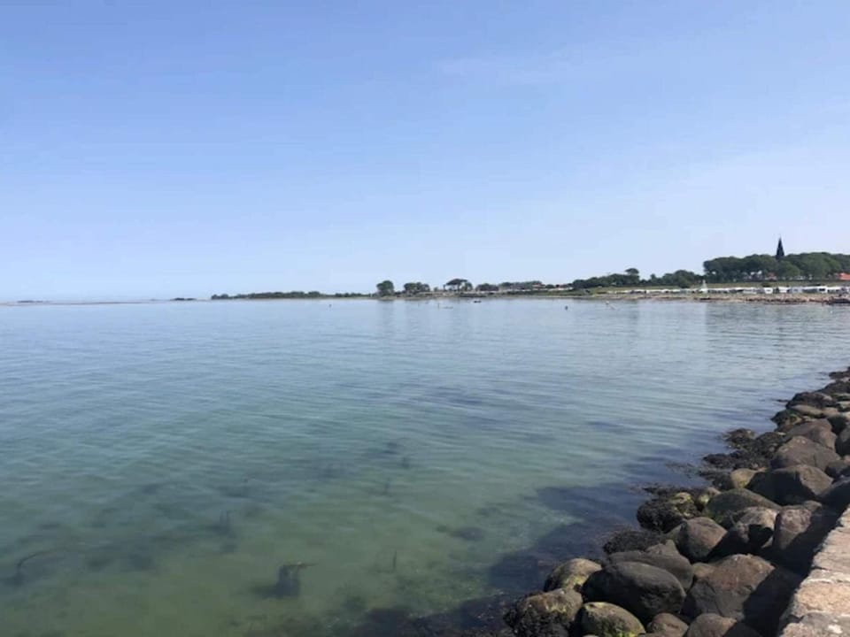 Lake view