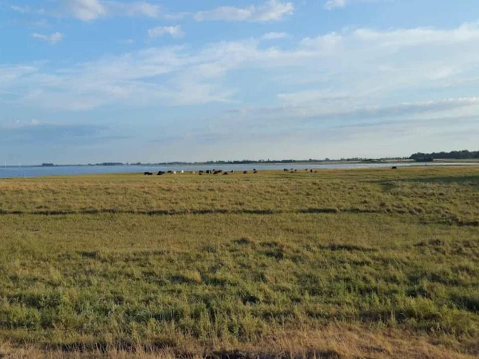 Lake view