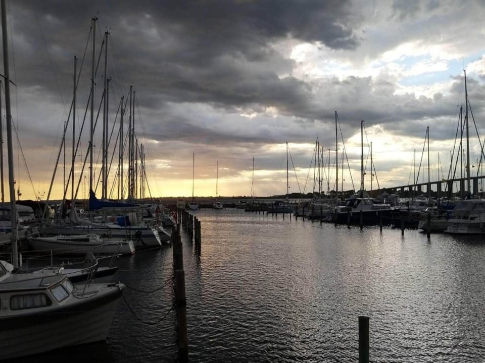Lake view