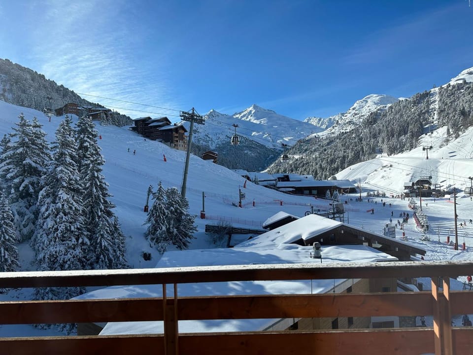Spacieux apt rénové, ski aux pieds, cœur Mottaret, parking privé - FR-1-688-50 Apartment in Les Allues