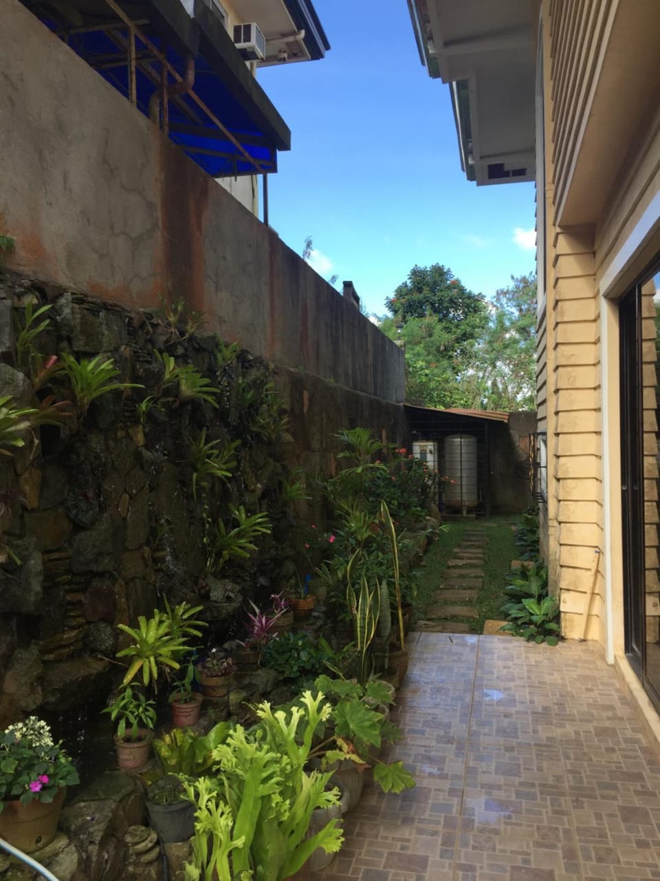 Garden view