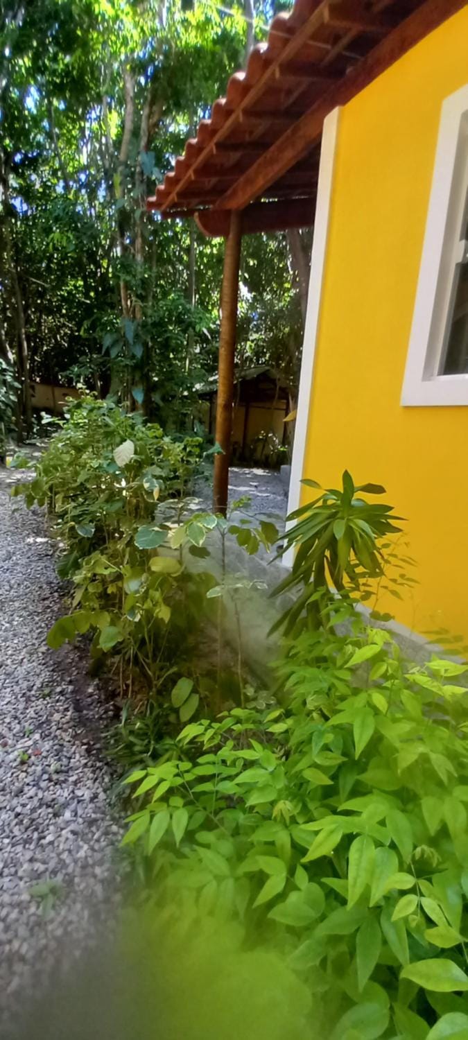Natural landscape, Garden