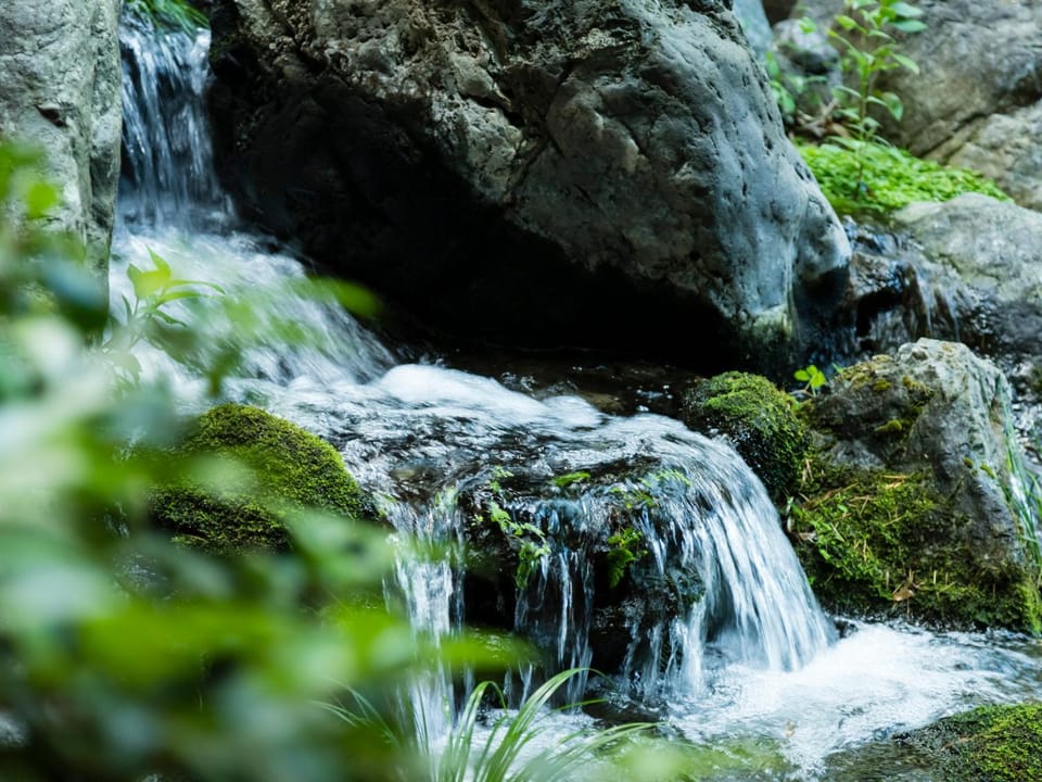 Day, Natural landscape
